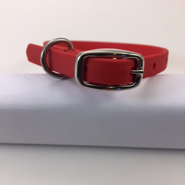Personalized Champ BioThane 3/8 Inch Buckle Collar